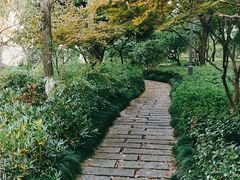 -杭州半山国家森林公园