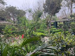 -苏记溪河鲢鱼庄(天府新区店)