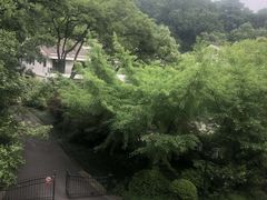 -杭州花家山庄