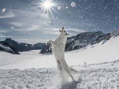 -炙韩料理·部队锅专门店