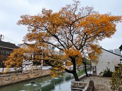 -青果巷历史文化街区