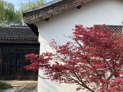 -同里国家湿地公园