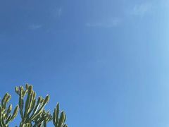 -维乐口腔医院(星海湾分院)