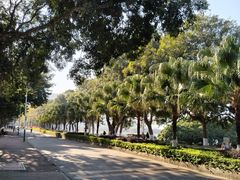 -风云岭森林公园