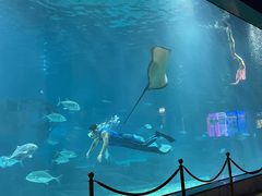 -福州罗源湾海洋世界旅游区