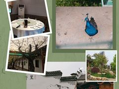 环境-丹霞山风景名胜区