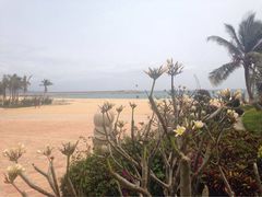 雅居乐莱佛士酒店-海南清水湾莱佛士酒店