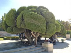 -丽池公园