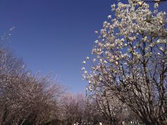 -北京奥林匹克公园