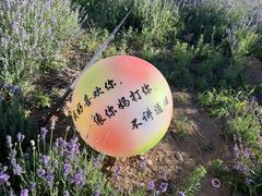 -西域欢乐城