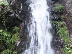 -夏霖九天银瀑风景区