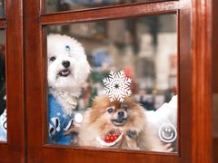 -初甜·舒芙蕾·韩式雪花冰(流塘店)