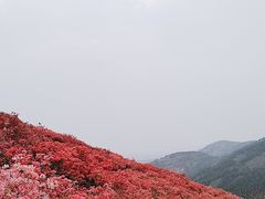 -木兰云雾山