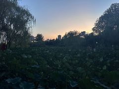-咸阳湖景区
