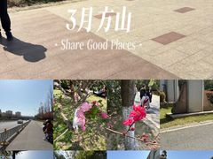 -南京市江宁方山