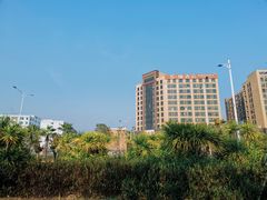 -宝安西湾红树林湿地公园