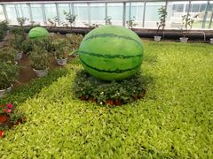 -兰陵国家农业公园