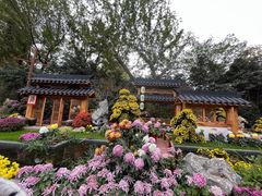 -惠山古镇·寄畅园