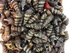 -红全周·洪濑鸡爪(万祥路店)