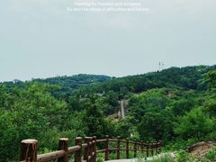 -白水寺森林公园