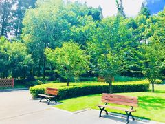 -徐家汇源景区-衡山公园