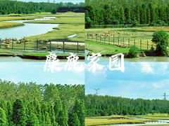 -溱湖国家湿地公园