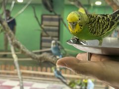-上海大自然野生昆虫馆