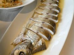 -绿杨春·淮扬宴(庐山路店)