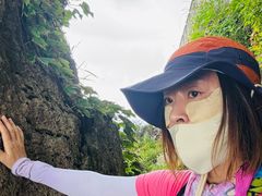 -东白山