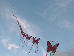 -海心沙亚运公园