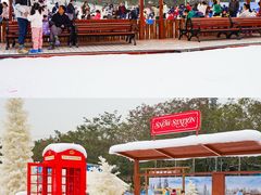 -盈香心动乐园