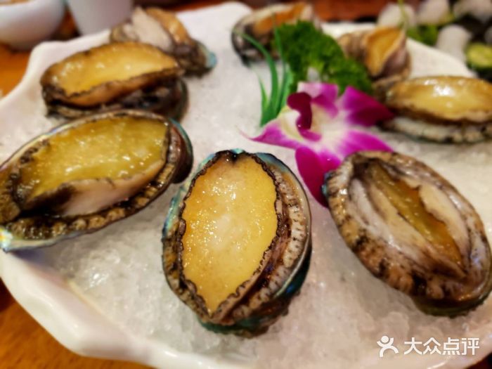 秦记水佬坊香港火锅(苏悦广场店)鲜活大鲍鱼图片