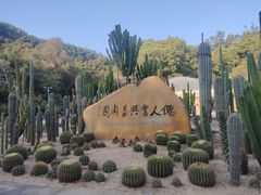 -深圳仙湖植物园