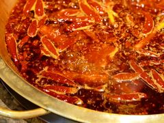 牛油微辣锅底-小龙坎火锅(春熙太古里店)