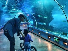 -石家庄海洋公园