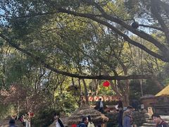 -天目湖山水园