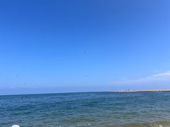 -日照海滨国家森林公园