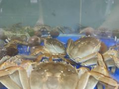 -阳澄湖大闸蟹·琼灵阁牌品牌连锁(吴中总店)