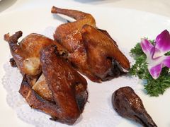 乳鸽-老人和饭店(淮海中路店)