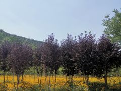 -石家庄市动物园