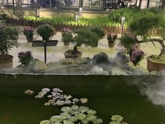 -蘇河湾·新鲁菜·泰山宴(泰山店)