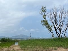 -观澜小洱海