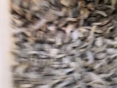 -宾朋海鲜特色美食餐厅·纯手工鲅鱼水饺(兴海路店)