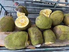 -东方鼎信农副产品交易中心