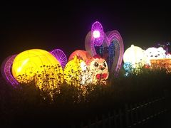 -大塘金香草谷