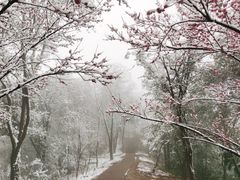 -北高峰