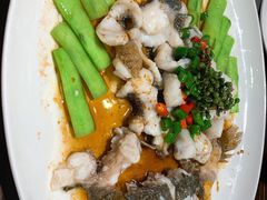 鲜花椒蒸鱼-猪肉婆私房菜(容桂总店)