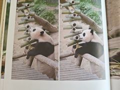 -杭州市萧山图书馆