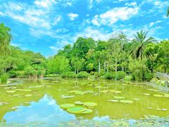 -中国科学院西双版纳热带植物园