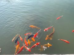 -陶祖圣境风景区